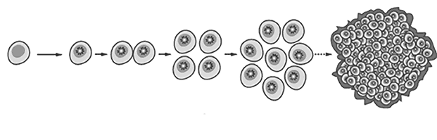 cancer cells diagram