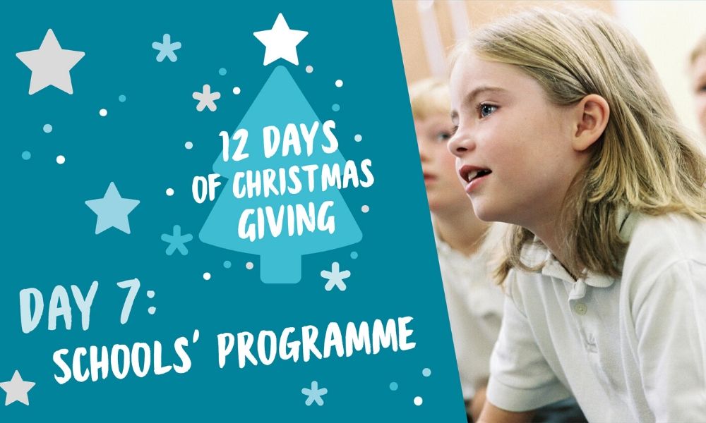 12 Days of Christmas - Primary Schools Programmes