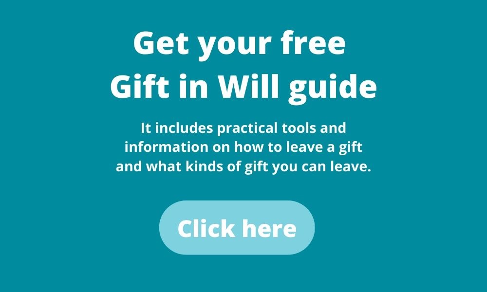 Download your Gift in Will pack button