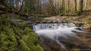 Tollymore Forest Marathon Walk