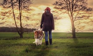 The Mutt Marathon
